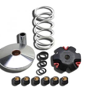 Malossi MULTIVARI Sport Malossi Booster, Ovetto 4T