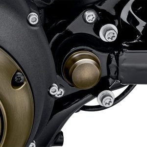 Harley-Davidson (Poisto) KIT,TRIM,CVR,PIVOT BOLT,LH