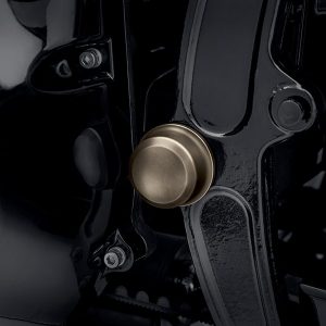 Harley-Davidson (Poisto) KIT,TRIM,CVR,PIVOT BOLT