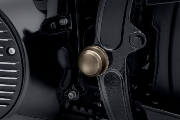Harley-Davidson (Poisto) KIT,TRIM,CVR,PIVOT BOLT