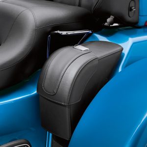 SADDLEBAGS, TRIKE