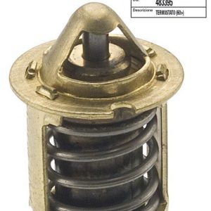 Alkuperäinen TERMOSTAATTI, Derbi, Aprilia, Gilera, Piaggio 50cc Mopo/ Skootterit