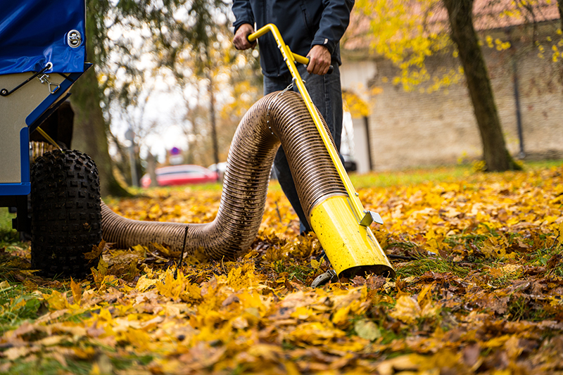 Iron Baltic Lehti-imuri, (81.2500+61.1000) - Image 7
