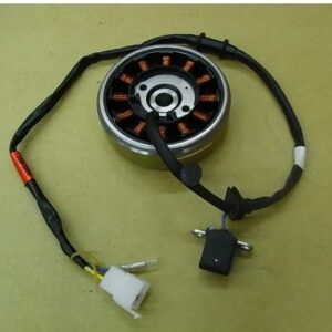 SYM AC.GEN. ASSY, EuroX 2007-  31100-T6R-500