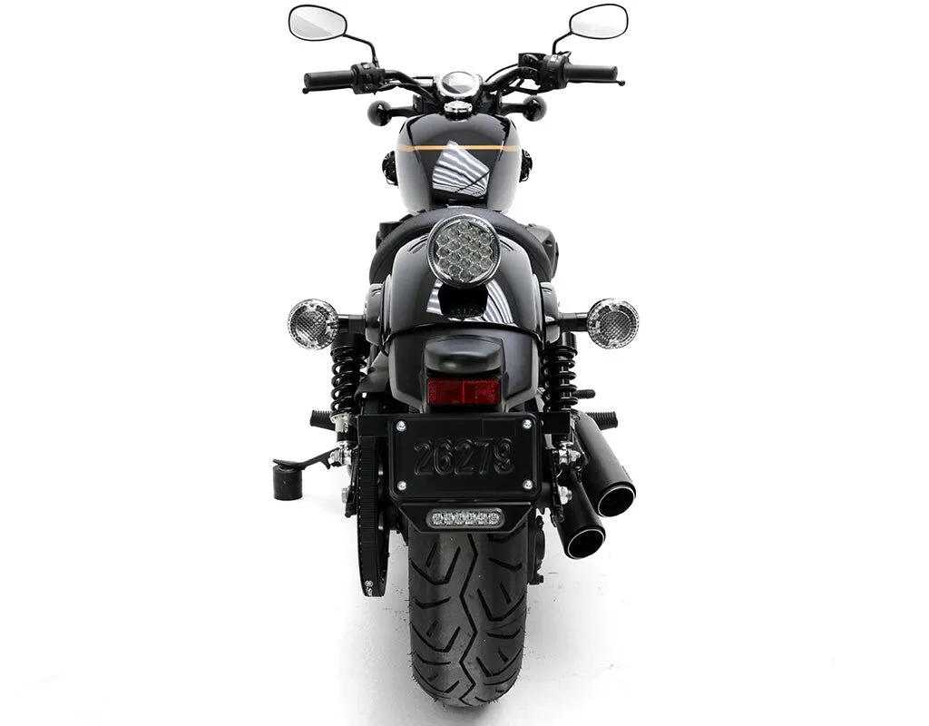 B6 LIGHT KIT W/ LICENSE PLATE MOUNT - Image 3