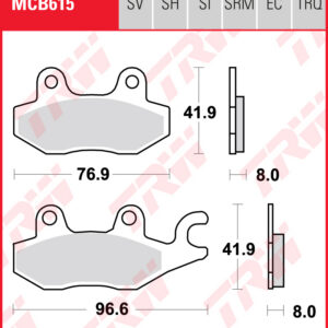 TRW Sinterijarrupalat taakse Benelli 125 Leoncino 2022-ym. (MCB615SH)