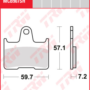 TRW Sinterijarrupalat taakse BMW M 1000 RR 2021– (MCB907SH)